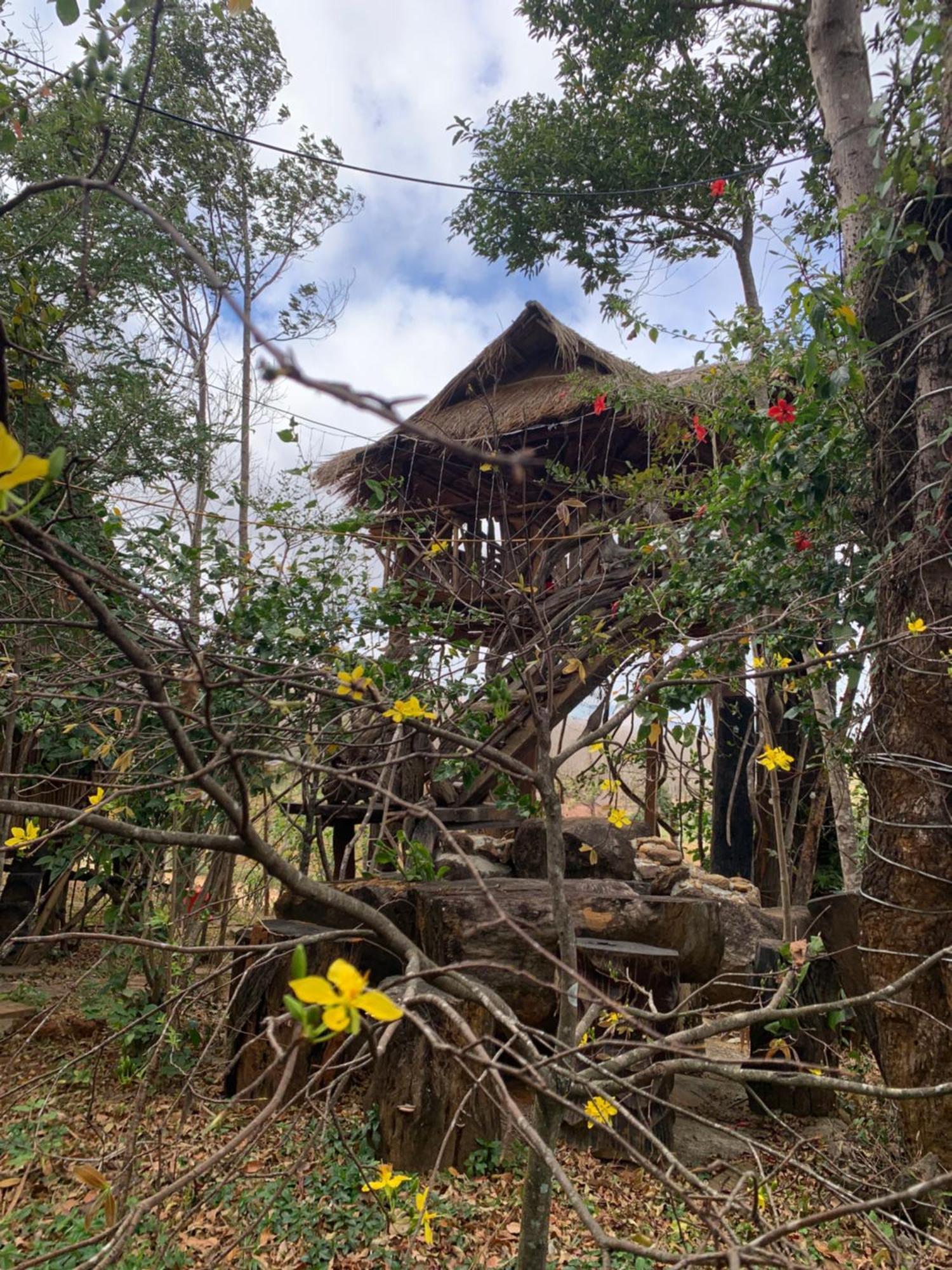 Chalet Sinh Thai, Nghi Duong Hoang Anh - Kon Xom Luh